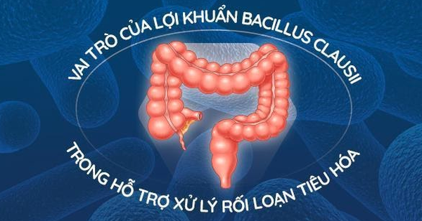 vai-tro-cua-loi-khuan-bacillus-clausii-trong-on-dinh-roi-loan-tieu-hoa1596178415