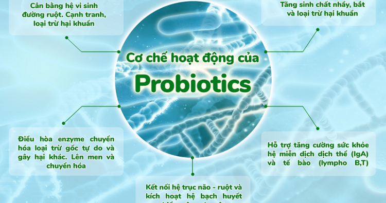 Lợi khuẩn đường ruột và hại khuẩn là gì