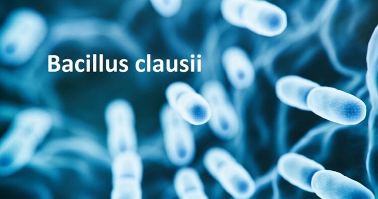 bacillus_clausii_dang_ong