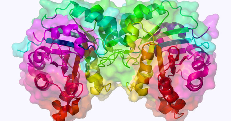 Men tiêu hóa thực chất là các enzyme