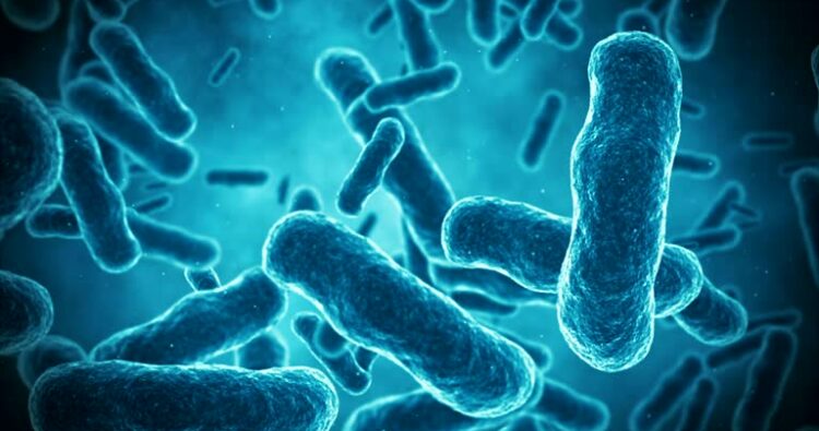 Bổ sung lợi khuẩn cho bé: 6 sai lầm cha mẹ hay mắc phải Bổ sung lợi khuẩn cho bé: 6 sai lầm cha mẹ hay mắc phải