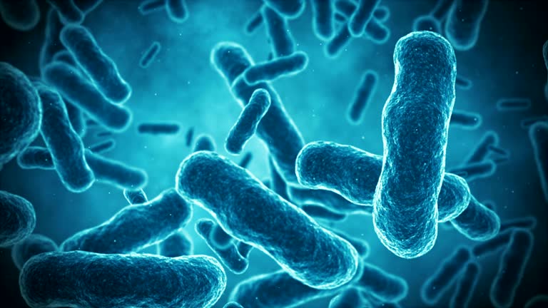 bo-sung-loi-khuan-cho-be-1