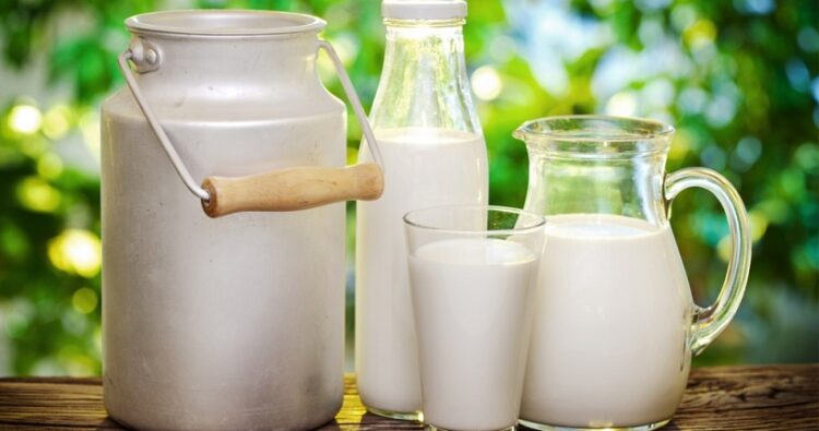 Người lớn bị tiêu chảy có uống sữa được không? Những điều cần biết và lời khuyên