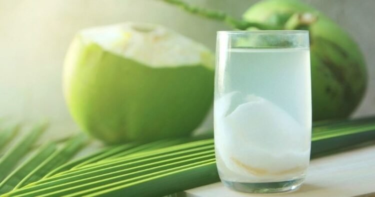 tieu-chay-uong-nuoc-dua-duoc-khong-2