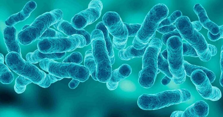 bo-sung-men-vi-sinh-cho-tre-1