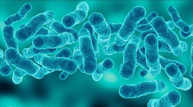 bo-sung-men-vi-sinh-cho-tre-1