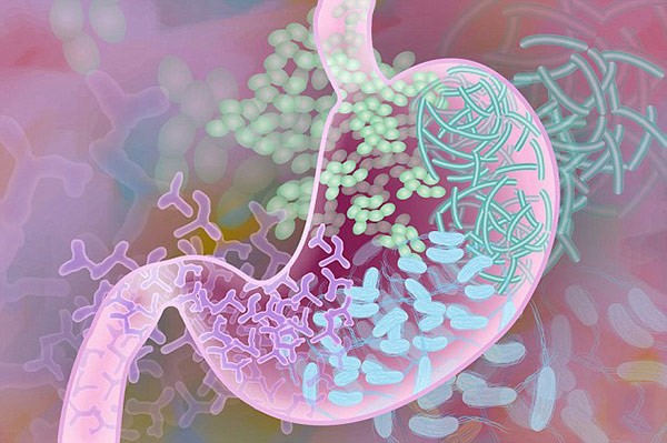 bo-sung-men-vi-sinh-cho-tre-so-sinh-2