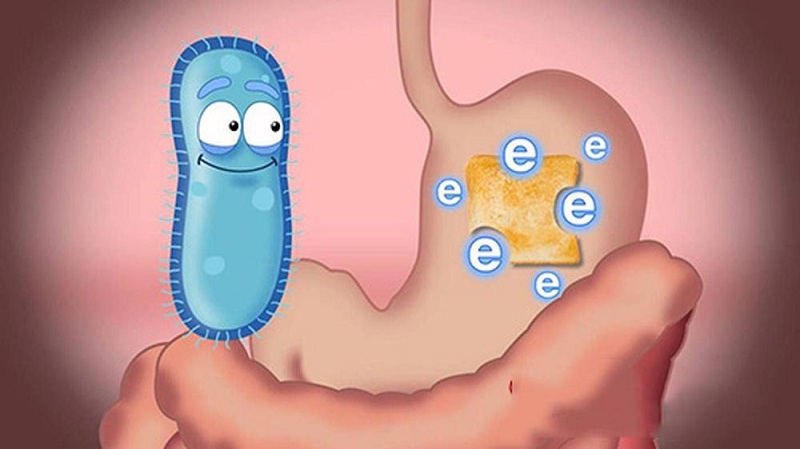 cac-loai-men-tieu-hoa-1