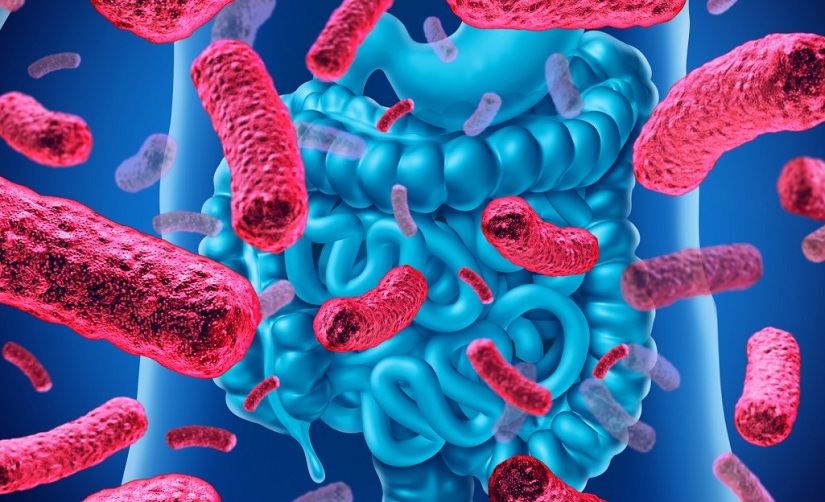 cac-loai-men-vi-sinh-cho-be-4