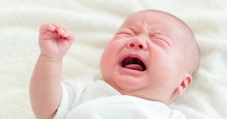 Cốm tiêu hóa cho trẻ sơ sinh: Tất cả những điều bạn cần biết