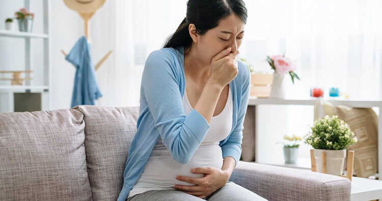 Men vi sinh cho bà bầu có tác dụng gì trong thai kỳ?